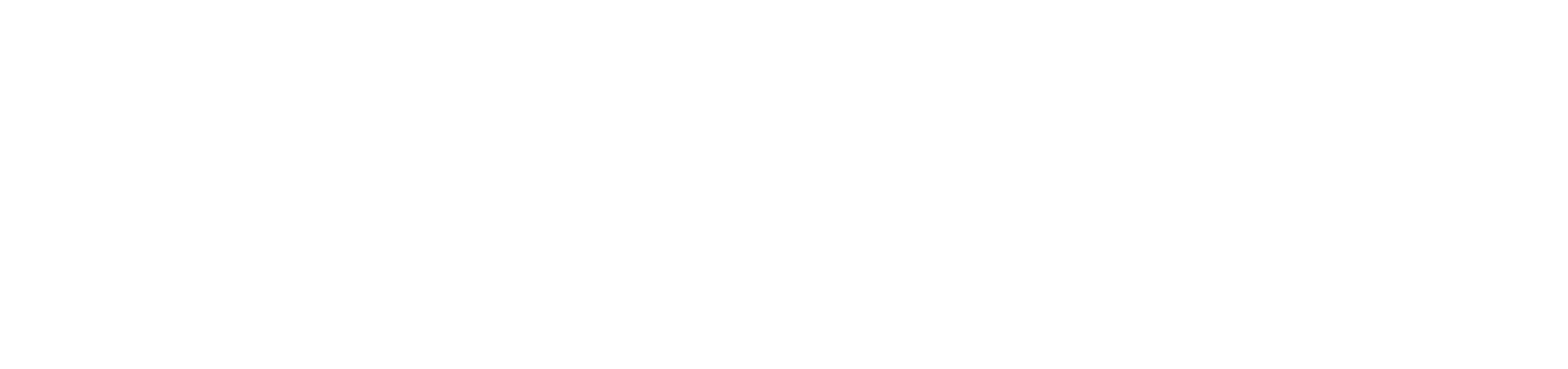 Pauhu AI brand mark logo